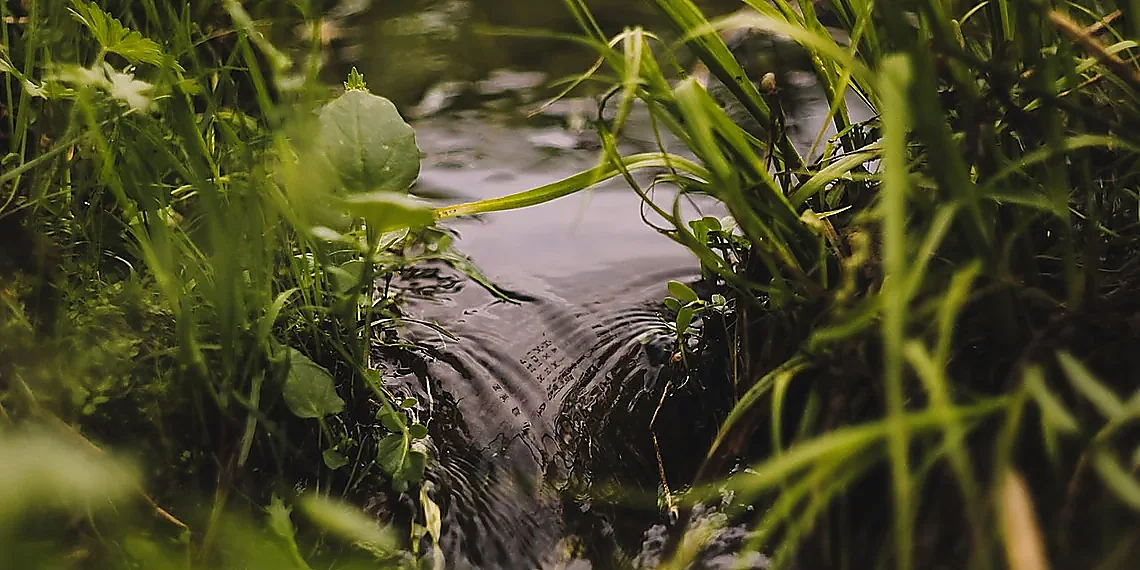 Dual-Stream Context Architecture Explained – LLM Agents