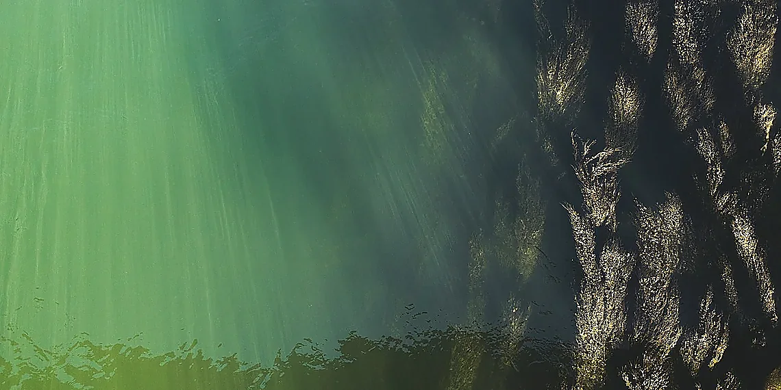 Representing Mental Elements: Paradigms and Components – Embodied AI Mental Models