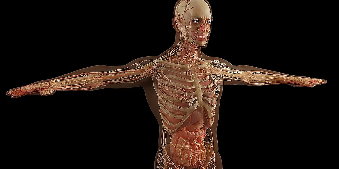 The Hybrid Generation Process – news video understanding