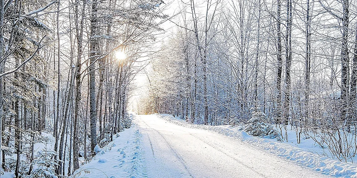 What is Domain Shift? – domain adaptation