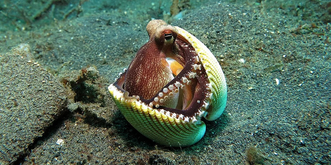 Related image for adaptive materials