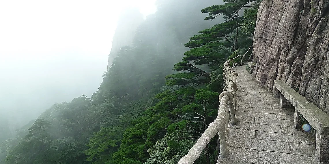 Path Length & Intrinsic Rank: The Key Metrics – gradient predictability