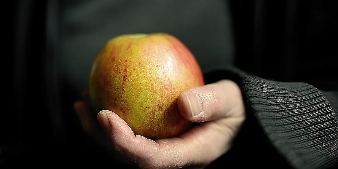 Fast vs. Deep Reasoning: When to Switch? – Agentic AI Architecture