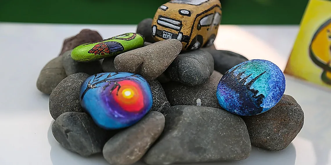 Unusual Galaxies & Protostars – JWST oddities