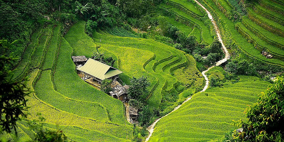 Why AUC Matters & Previous Approaches’ Shortcomings – scoring systems