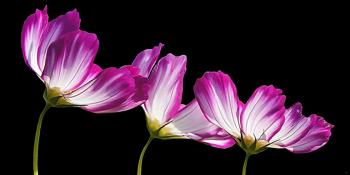 Why Traditional Methods Fall Short – contactless liquid removal