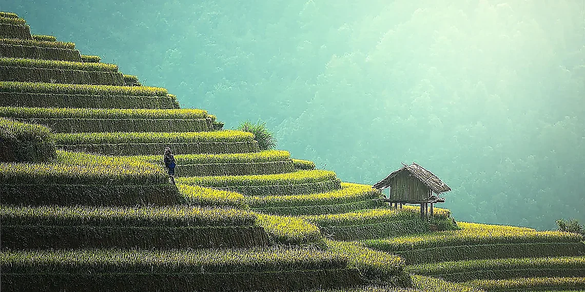 Navigating AI Existential Risk: A Survival Story Taxonomy