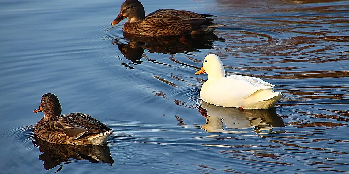 Premise 2: Why Powerful AI Might Lead to Human Extinction – AI existential risk