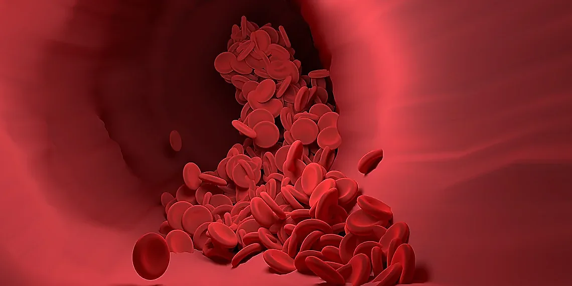 MHC Molecules and Immune Cell Recognition – antigen presentation