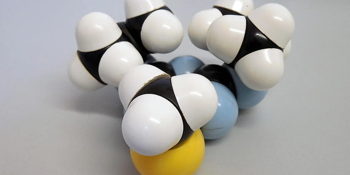 Related image for Molecular Language Models