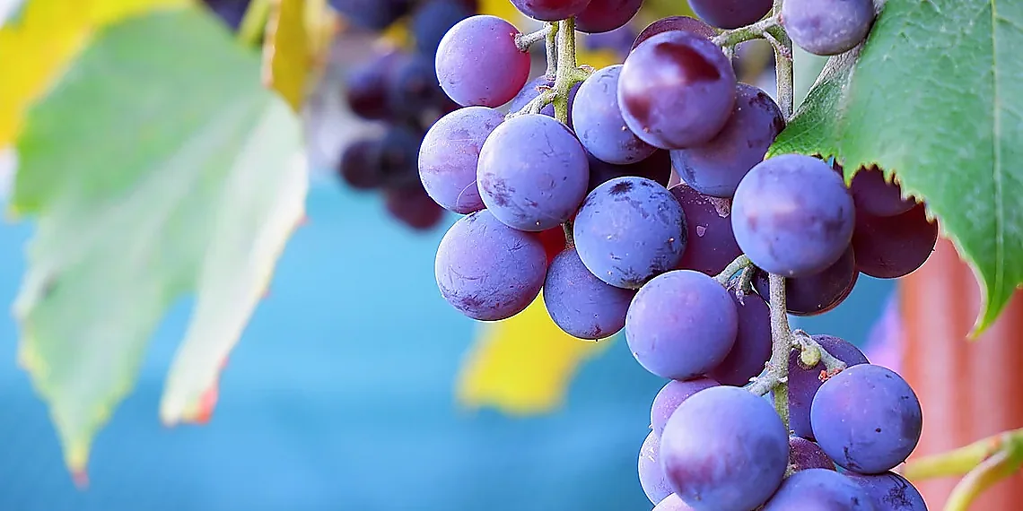 Why Bigger Isn't Always Better – Efficient Transformers