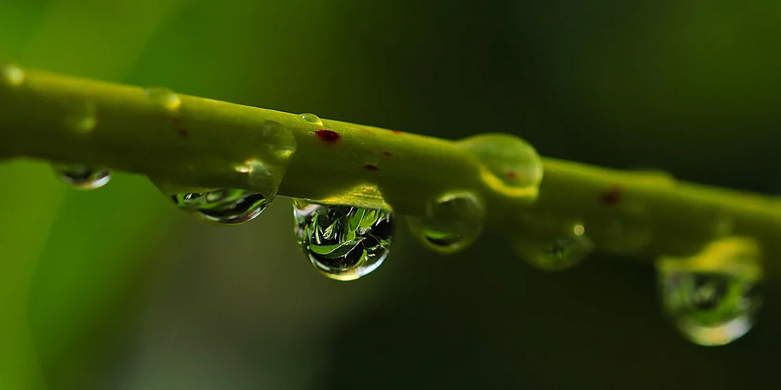 Dexterity and Adaptability Improvements about robotics